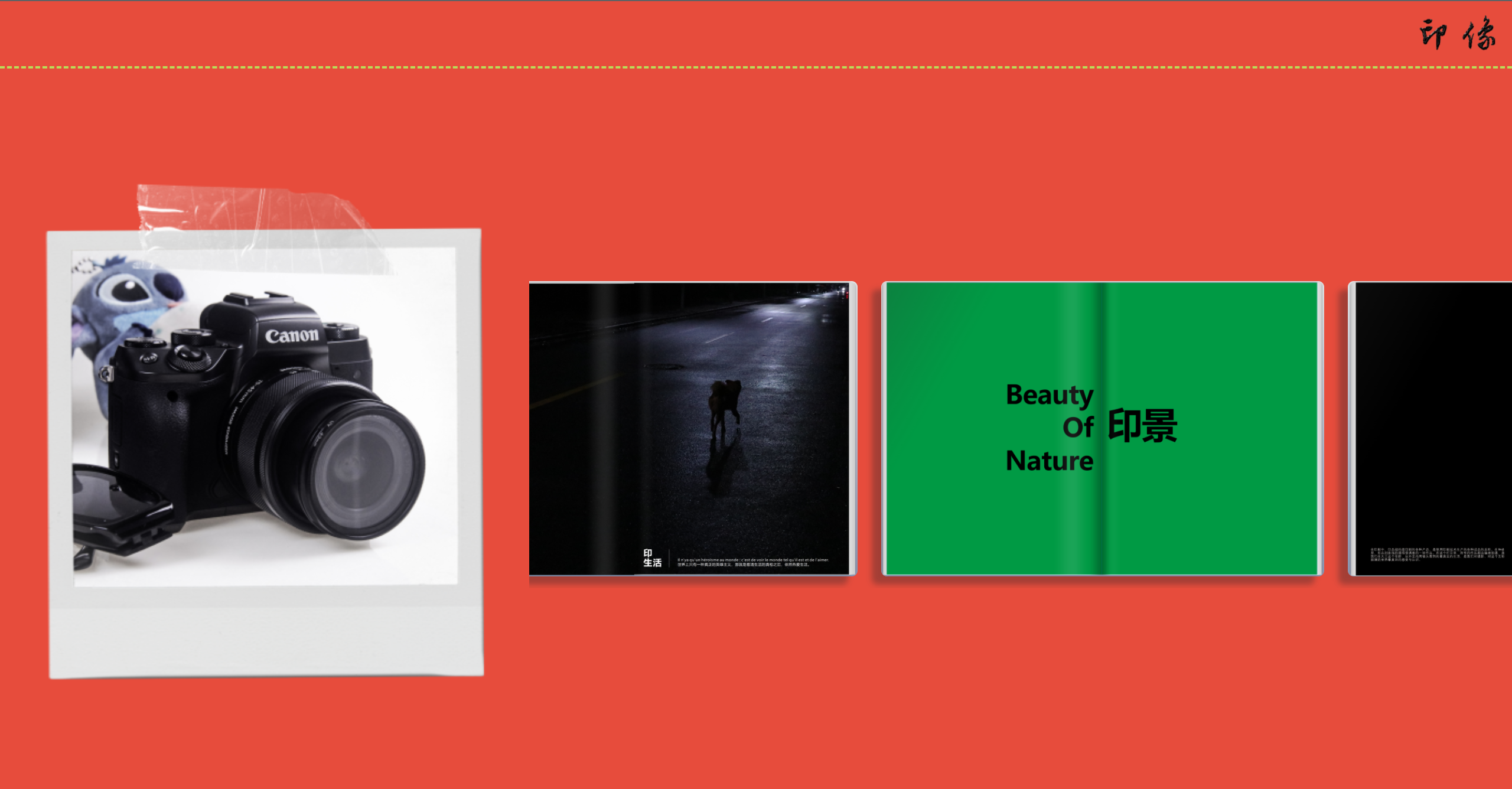 image-20220505155929253