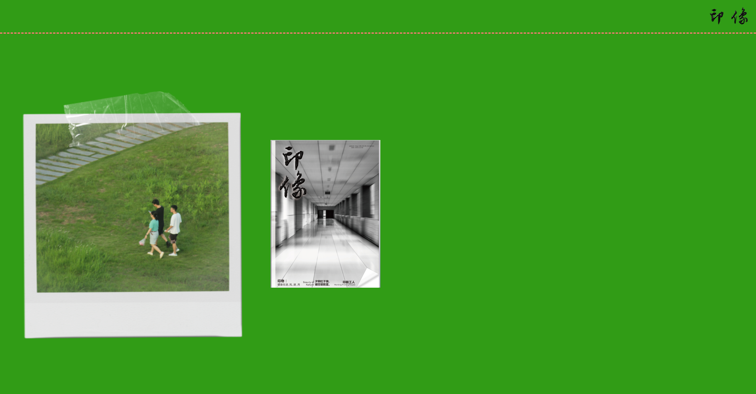 image-20220505162541738